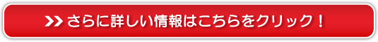 qACX`[240ibyL[s[jyzw ̔TCg